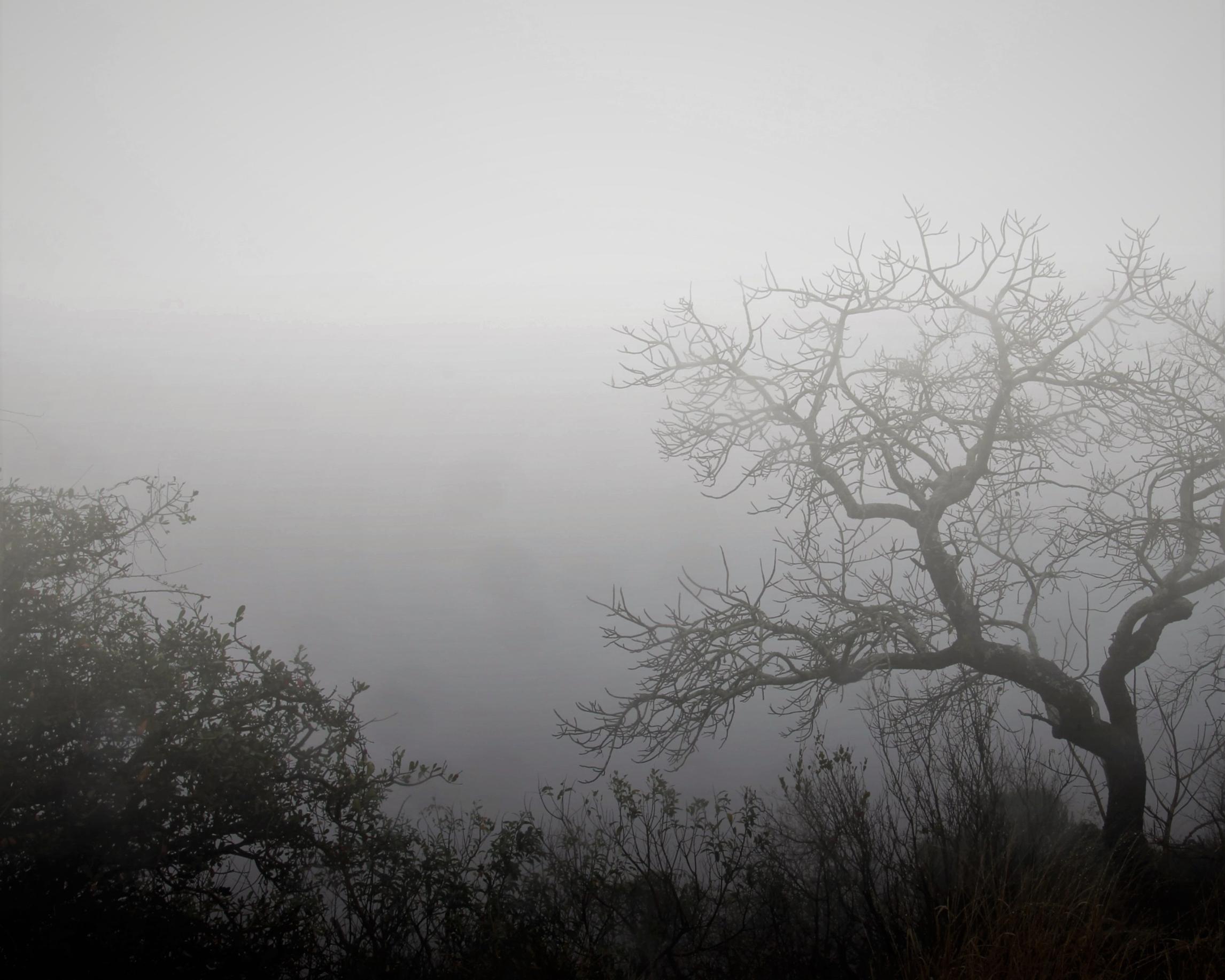 Weather phenomenon 08